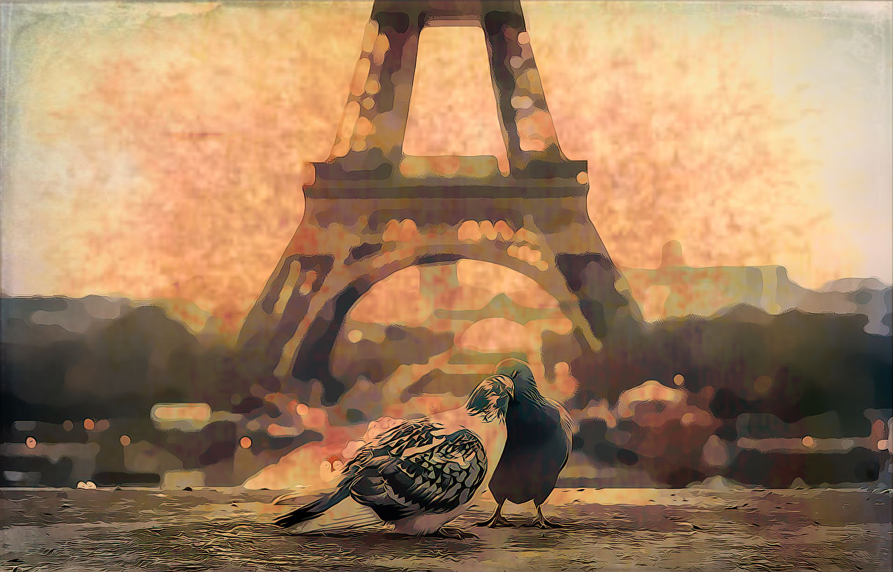 Pigeons nuzzling and cuddling in Paris